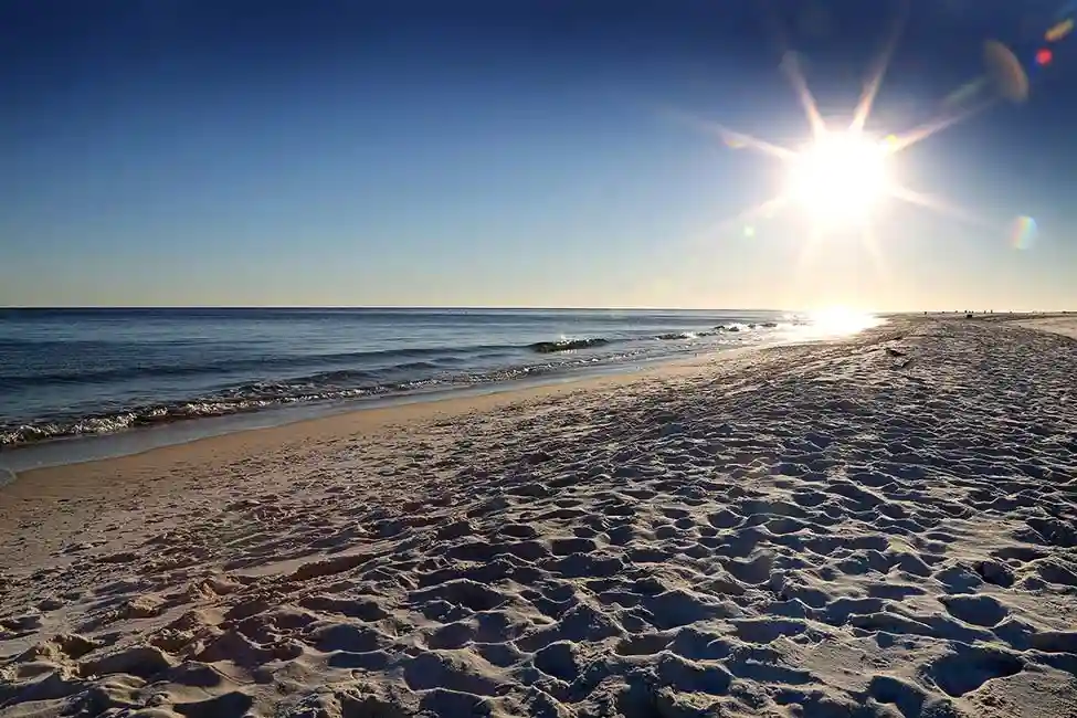 University of South Alabama 