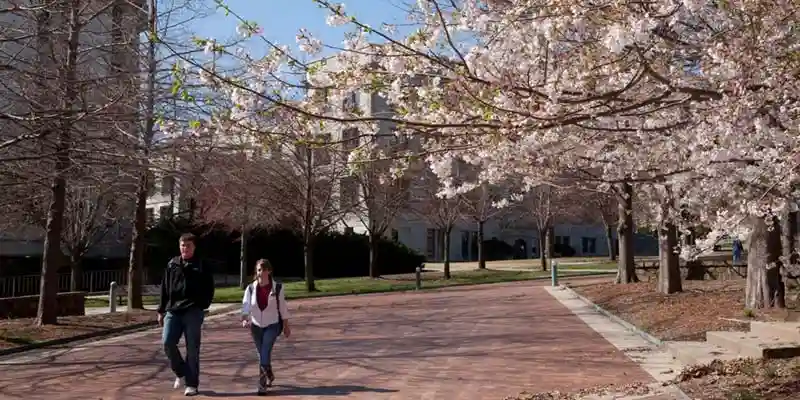 Gun-Soo Han من كوريا الجنوبية: دراسات علم الحركة في جامعة أركنساس في فايتفيل