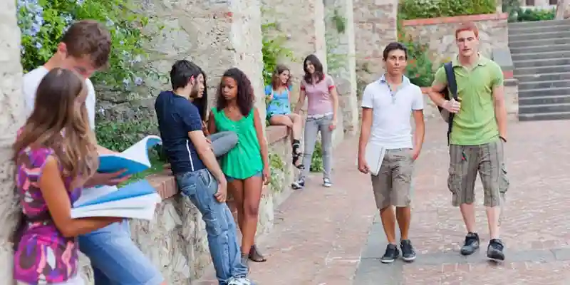 不仅仅是学位：学习跨文化能力