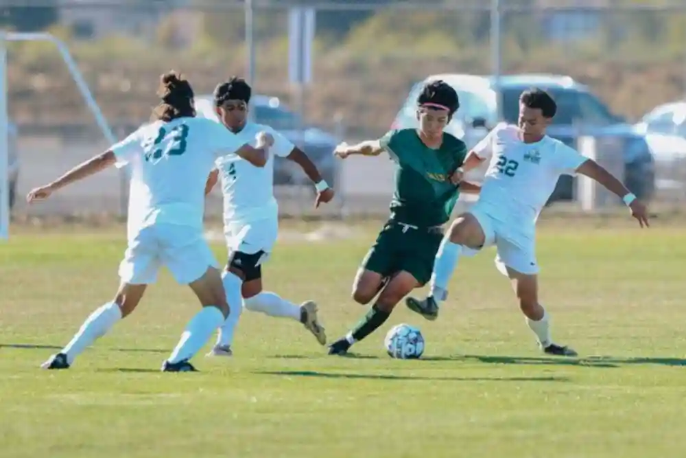Promotional image of the Napa Valley College facilities