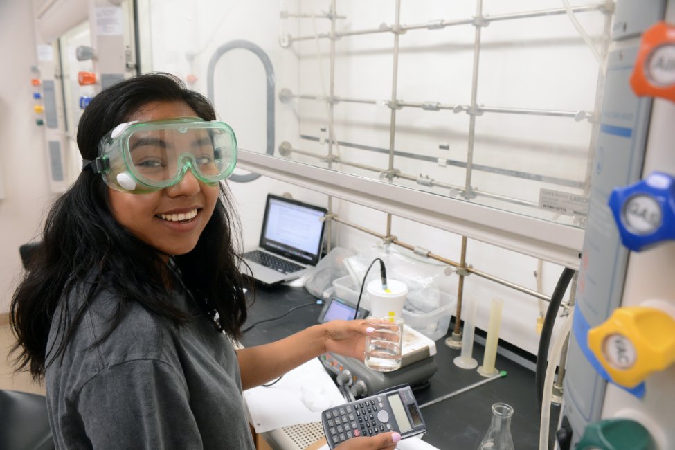 Grossmont College / ACE American Collegiate English  