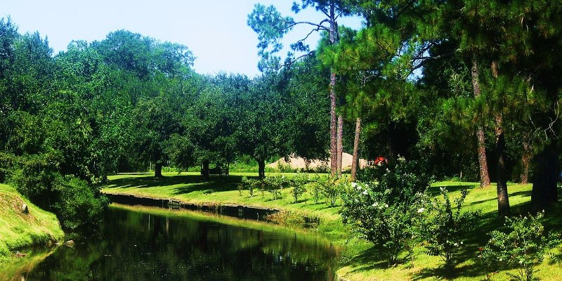 来自哥伦比亚的 Paola Perez：在麦克尼斯州立大学攻读 MBA