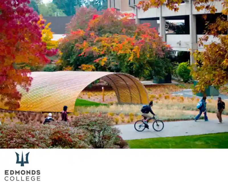 كلية إدموندز: طريقك إلى مستقبل ناجح