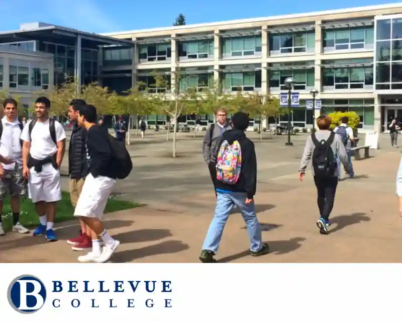 More Places International Students Transfer to After Community College