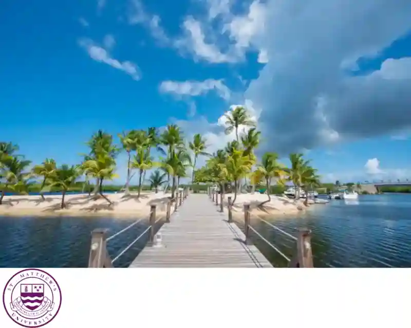 Why St. Matthew's University?