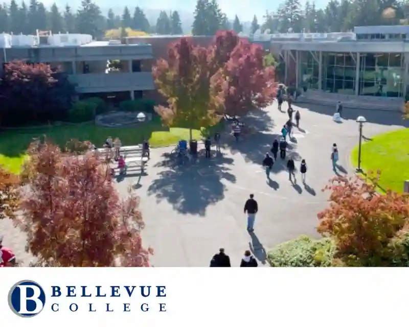 Transitioning To An American Educational System: Experiences of a Student From Jakarta