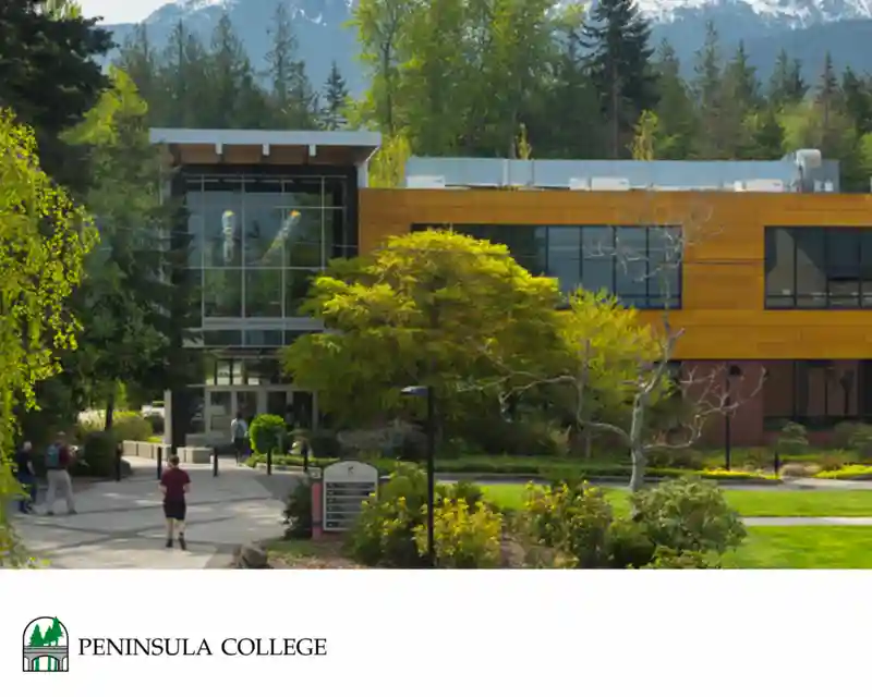 Why You Should Consider Peninsula College