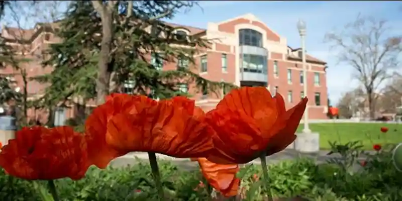 来自中国北京的倪龙是加州圣罗莎初级学院心理学专业的新生