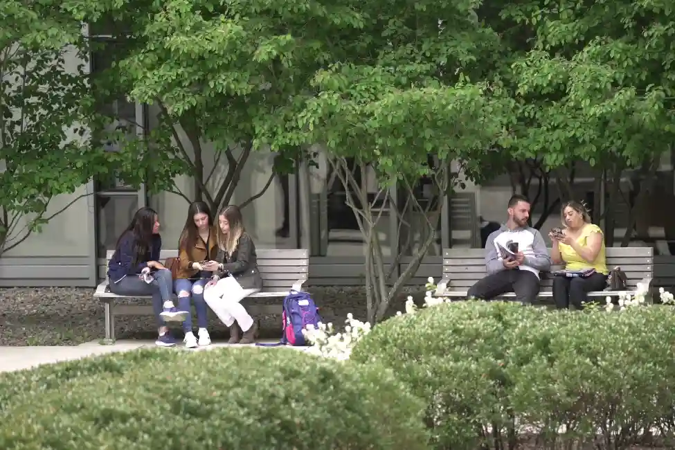 Salem State University Intensive English Language Program